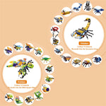 Advent Calendar 24 Insect