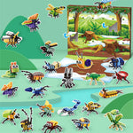 Advent Calendar 24 Insect